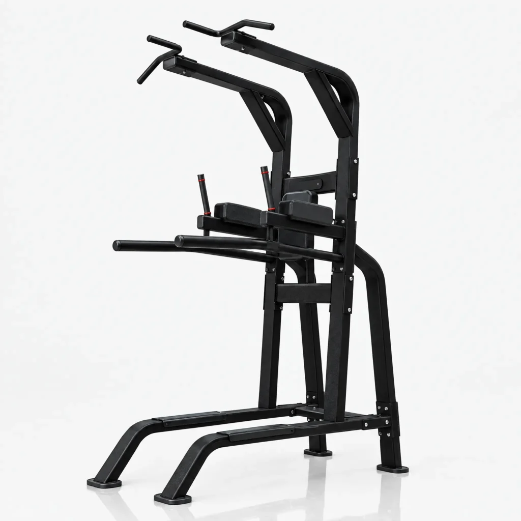Pull Up Dip Leg Raise Station